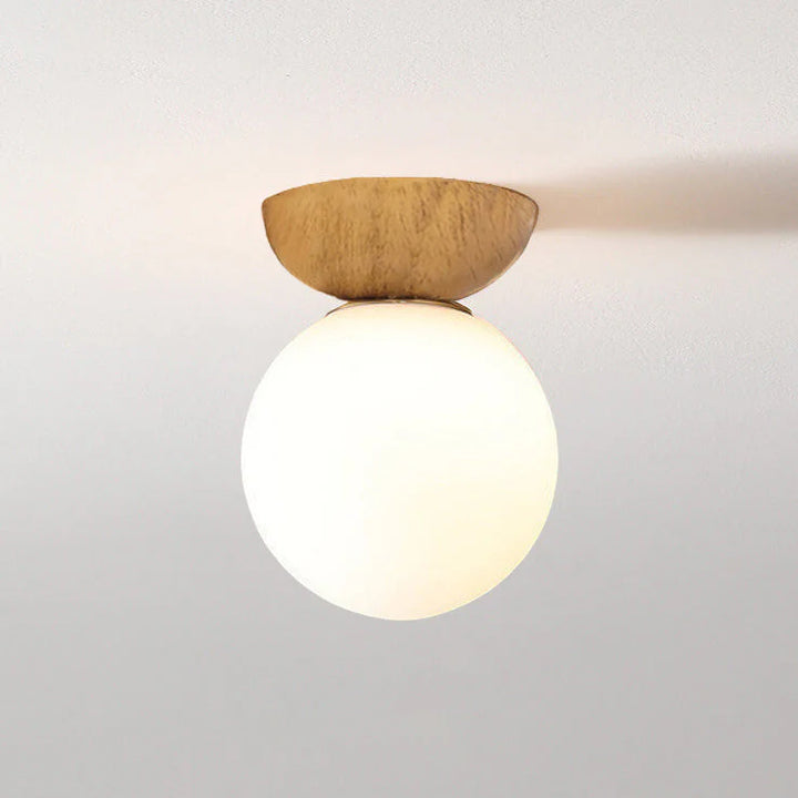 Modern Minimalist Scandinavian Ceiling Light