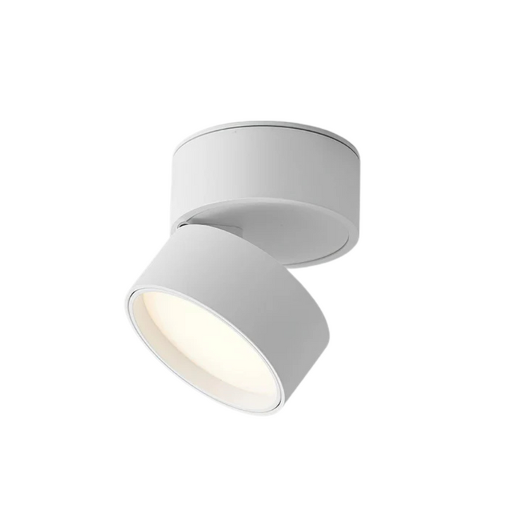 Modern 1-Light LED Adjustable Ceiling Light
