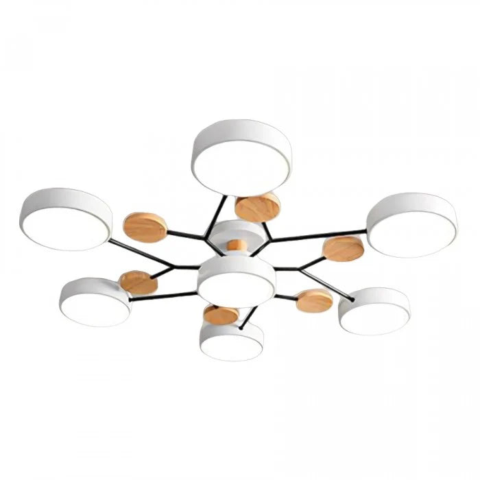 Minimalist Multiple Heads LED Scandinavian Ceiling Light