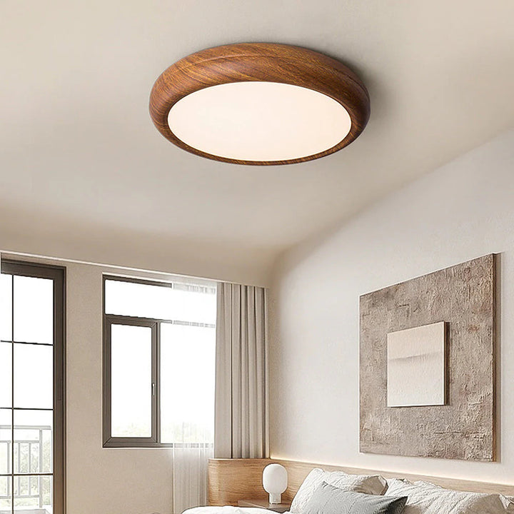 Modern Round Classic Ceiling Light LED Fixture