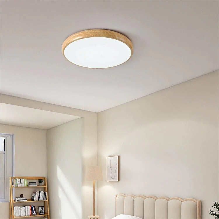 Modern Round Classic Ceiling Light LED Fixture