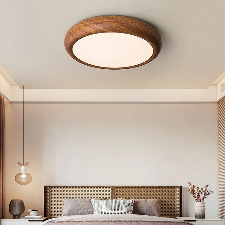 Modern Round Classic Ceiling Light LED Fixture