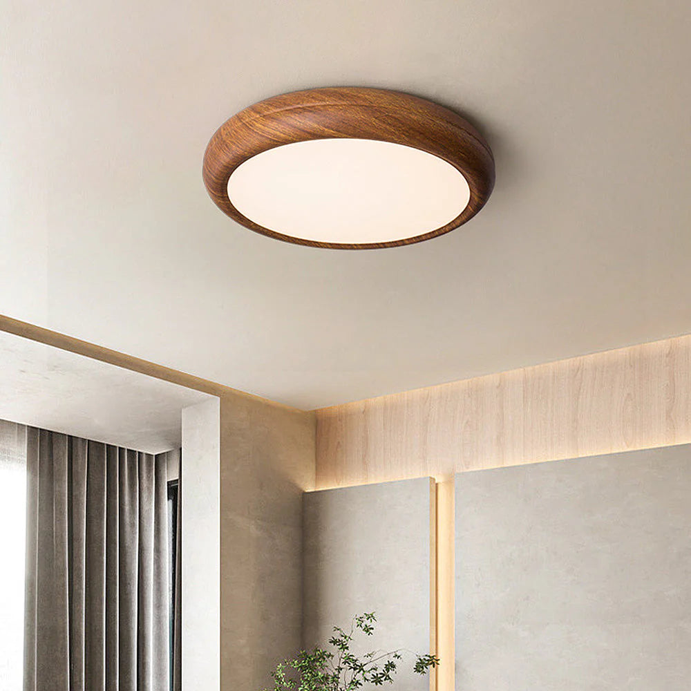 Modern Round Classic Ceiling Light LED Fixture