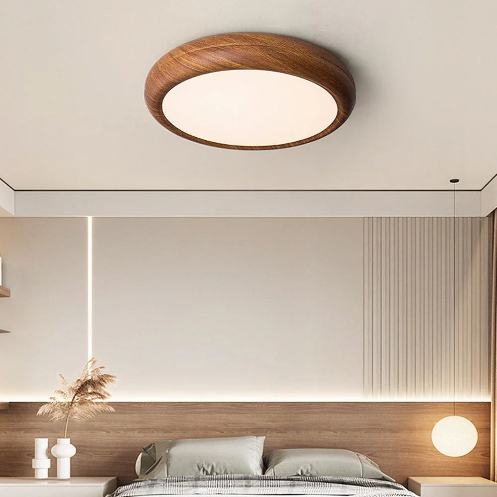 Modern Round Classic Ceiling Light LED Fixture
