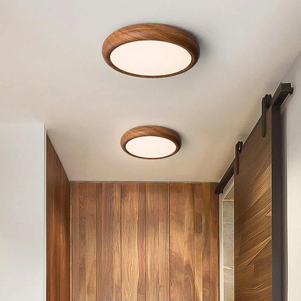 Modern Round Classic Ceiling Light LED Fixture