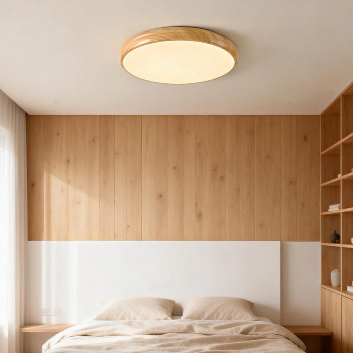 Modern Round Classic Ceiling Light LED Fixture