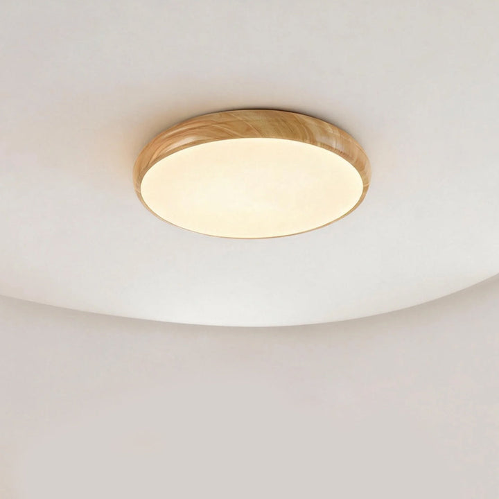 Modern Round Classic Ceiling Light LED Fixture