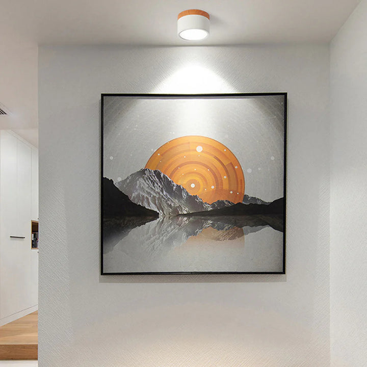 Modern Minimalist Scandinavian Round Ceiling Light