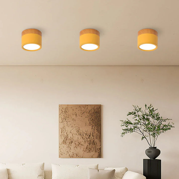 Modern Minimalist Scandinavian Round Ceiling Light