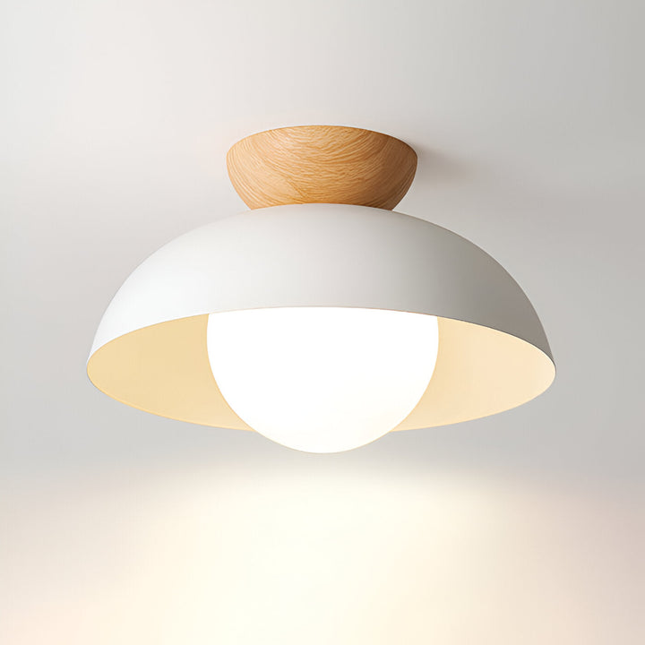 Nordic Scandinavian Minimalist Ceiling Light