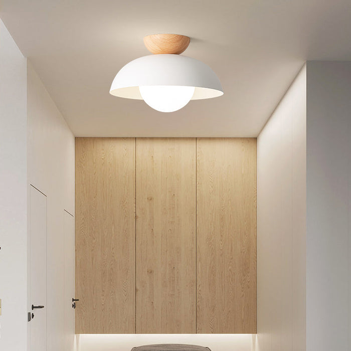 Nordic Scandinavian Minimalist Ceiling Light