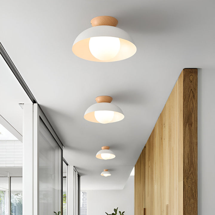 Nordic Scandinavian Minimalist Ceiling Light
