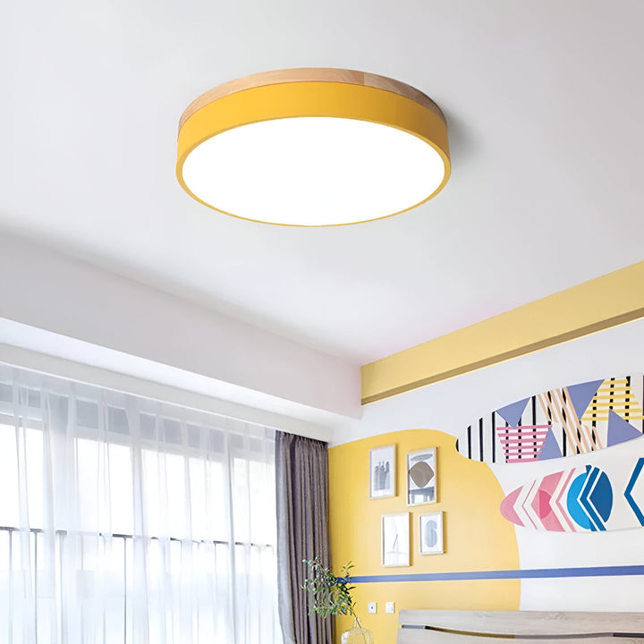 Nordic Scandinavian Minimalist Round LED Ceiling Light