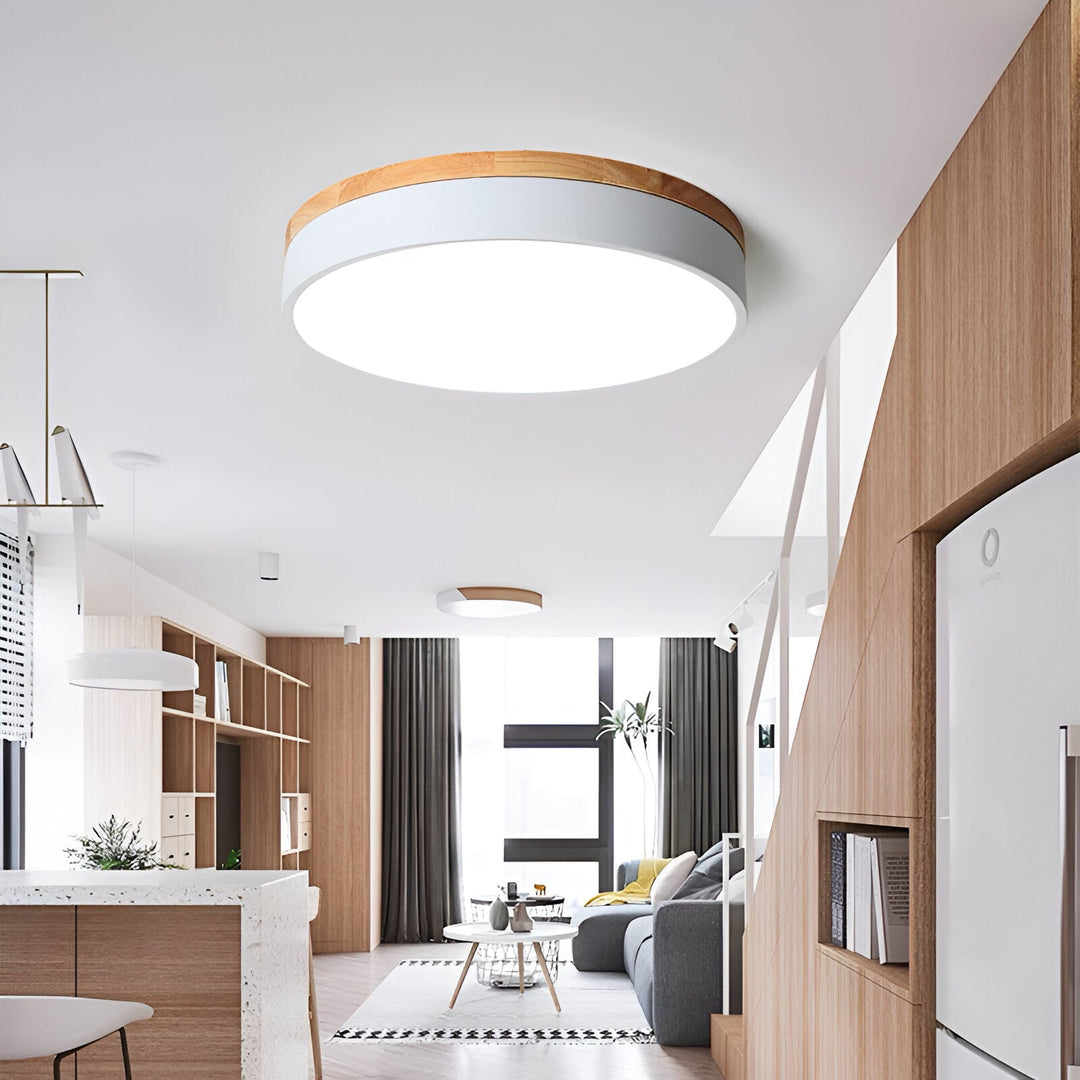 Nordic Scandinavian Minimalist Round LED Ceiling Light