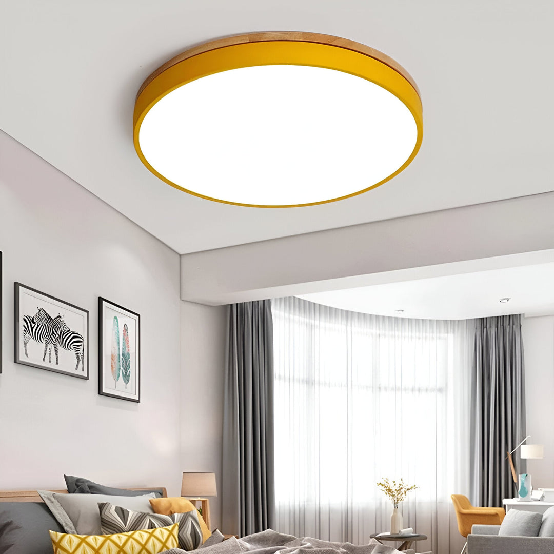 Nordic Scandinavian Minimalist Round LED Ceiling Light