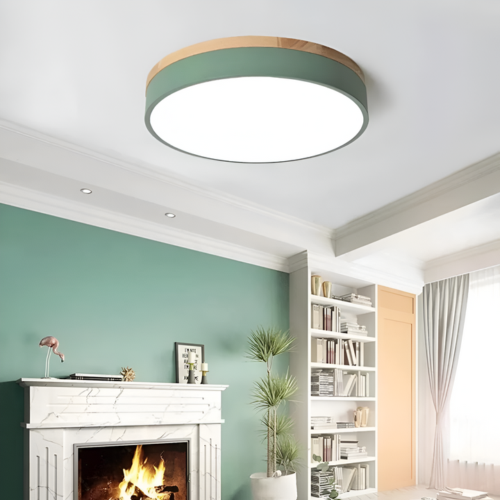 Nordic Scandinavian Minimalist Round LED Ceiling Light