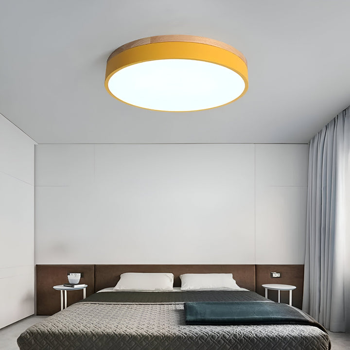 Nordic Scandinavian Minimalist Round LED Ceiling Light