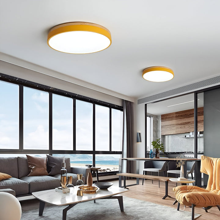 Nordic Scandinavian Minimalist Round LED Ceiling Light