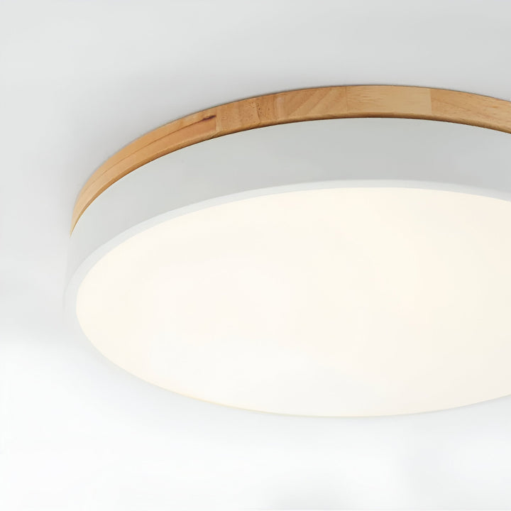 Nordic Scandinavian Minimalist Round LED Ceiling Light