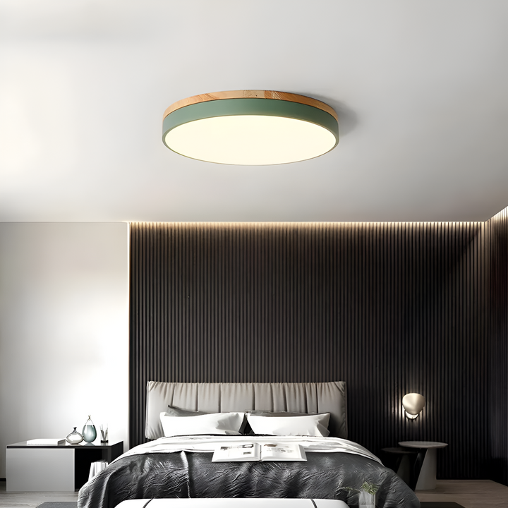 Nordic Scandinavian Minimalist Round LED Ceiling Light