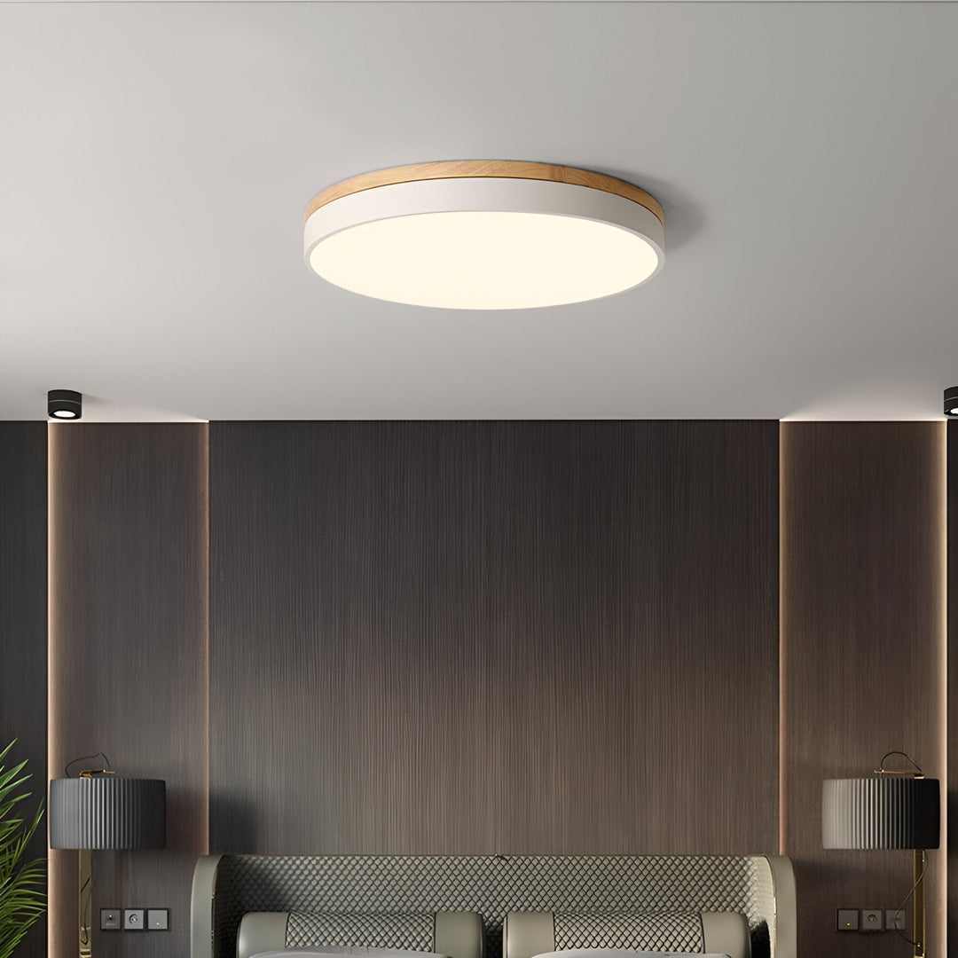 Nordic Scandinavian Minimalist Round LED Ceiling Light