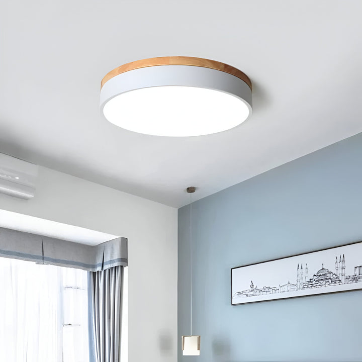 Nordic Scandinavian Minimalist Round LED Ceiling Light