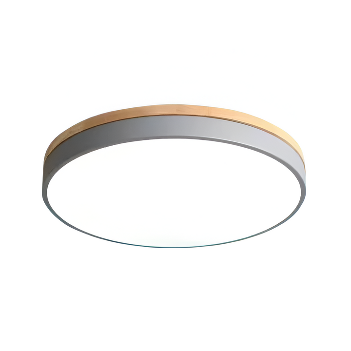 Nordic Scandinavian Minimalist Round LED Ceiling Light