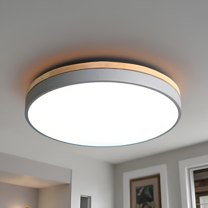 Nordic Scandinavian Minimalist Round LED Ceiling Light
