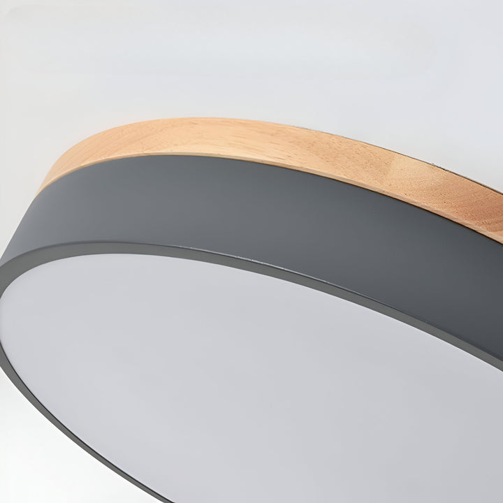 Nordic Scandinavian Minimalist Round LED Ceiling Light