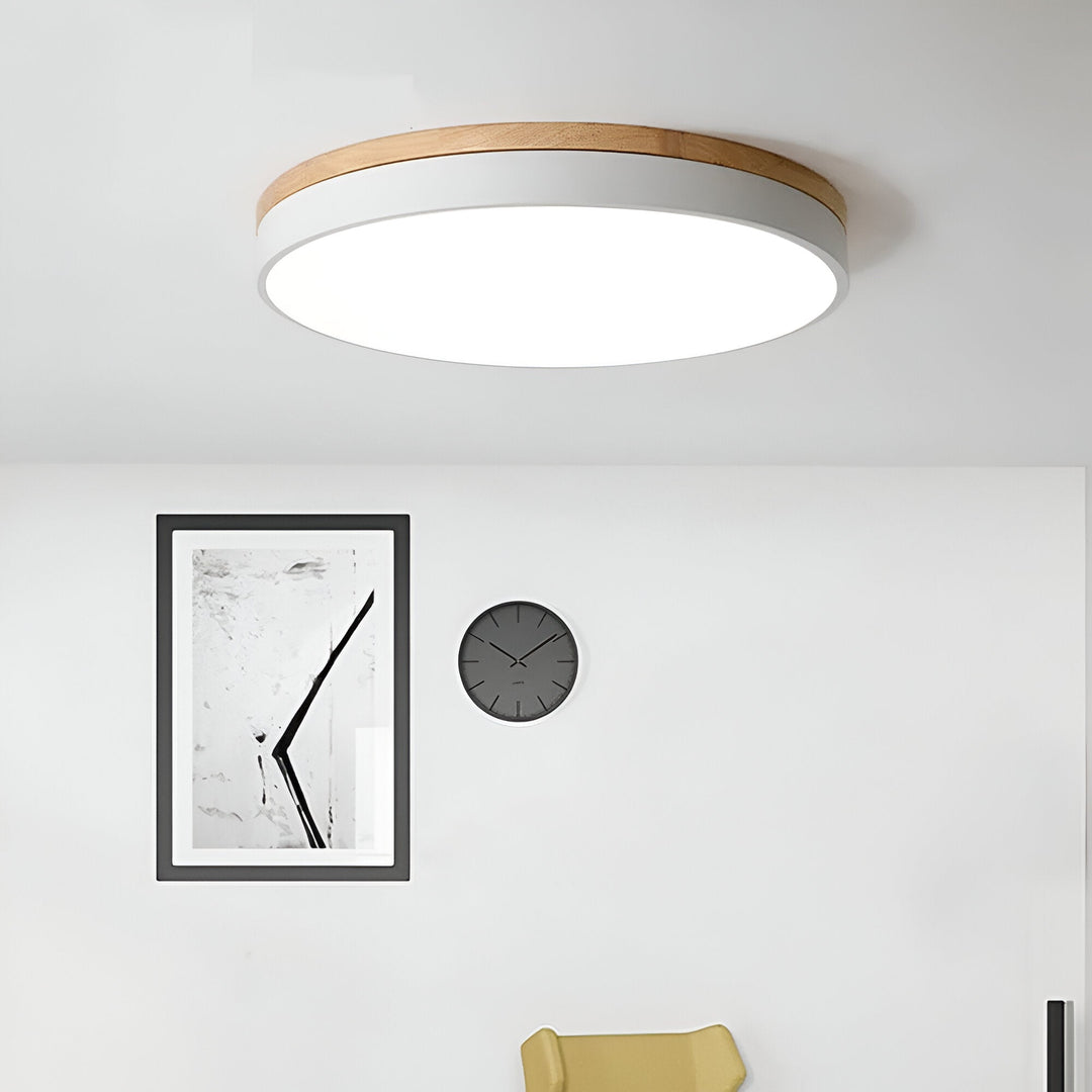Nordic Scandinavian Minimalist Round LED Ceiling Light
