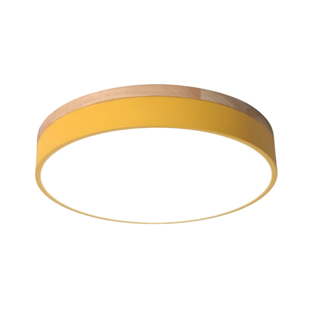 Nordic Scandinavian Minimalist Round LED Ceiling Light