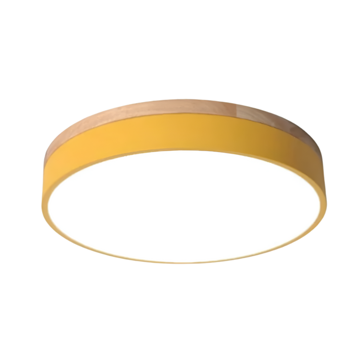 Nordic Scandinavian Minimalist Round LED Ceiling Light