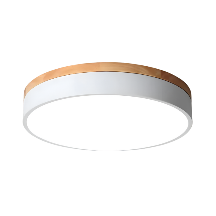 Nordic Scandinavian Minimalist Round LED Ceiling Light