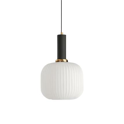 Modern Decorative Pendant Light