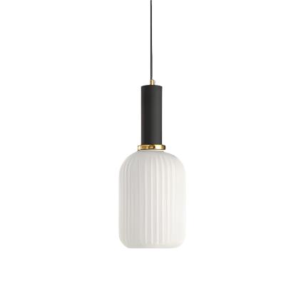 Modern Decorative Pendant Light