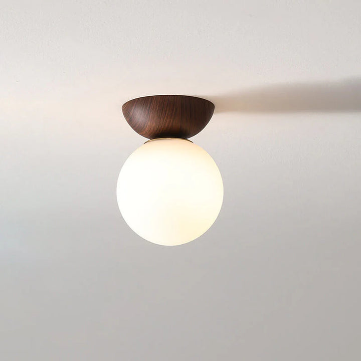 Modern Minimalist Scandinavian Ceiling Light