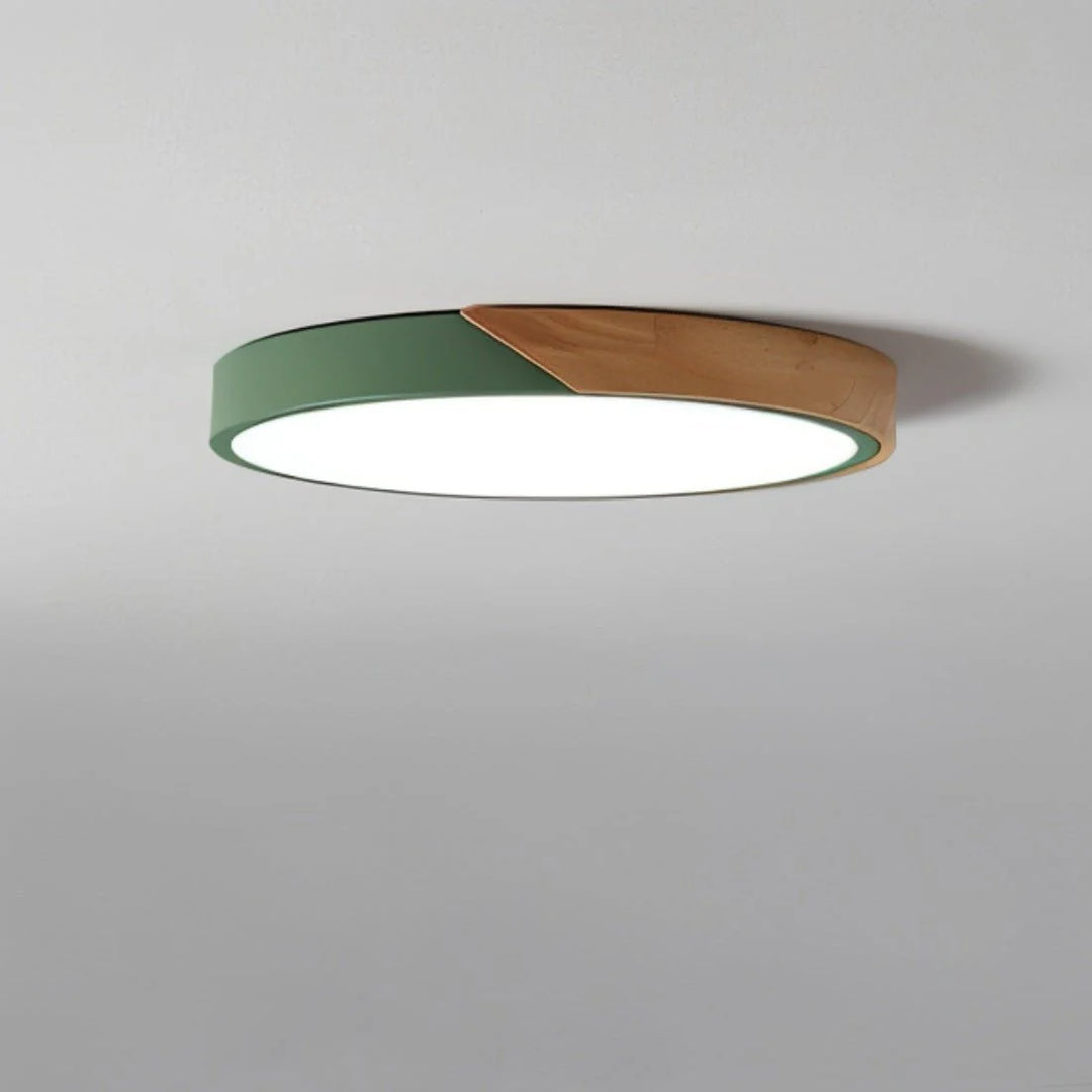 Space-Saving Modern Scandinavian Ceiling Light