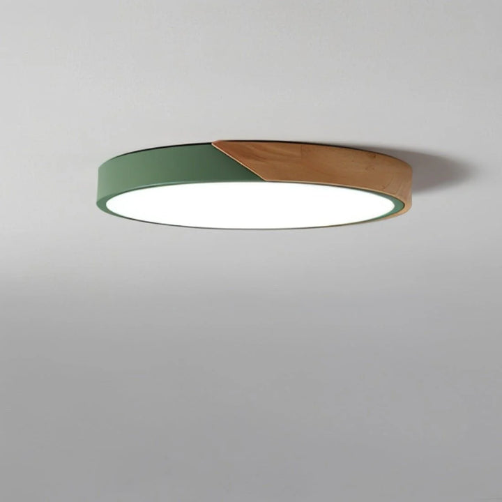 Space-Saving Modern Scandinavian Ceiling Light
