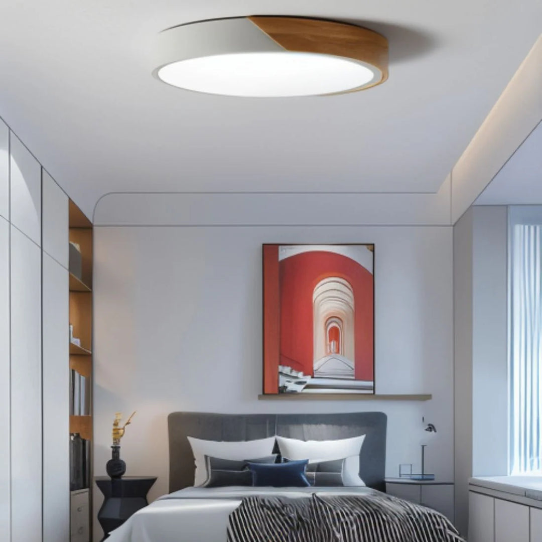 Space-Saving Modern Scandinavian Ceiling Light
