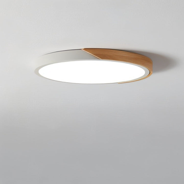 Space-Saving Modern Scandinavian Ceiling Light
