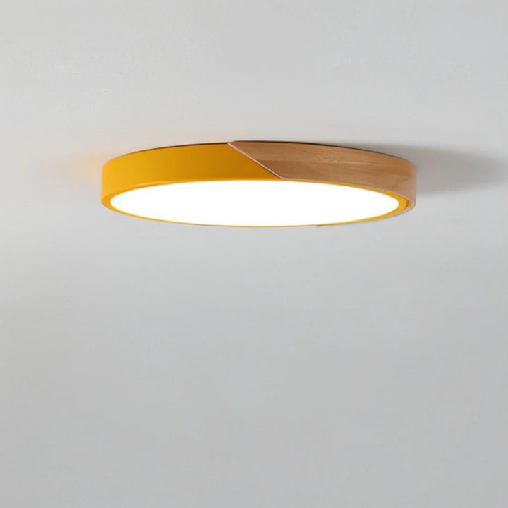 Space-Saving Modern Scandinavian Ceiling Light