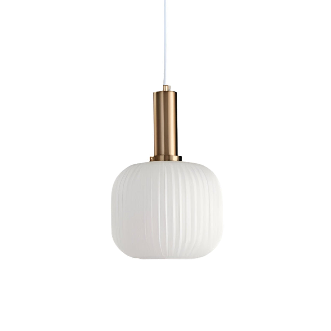 Modern Decorative Pendant Light